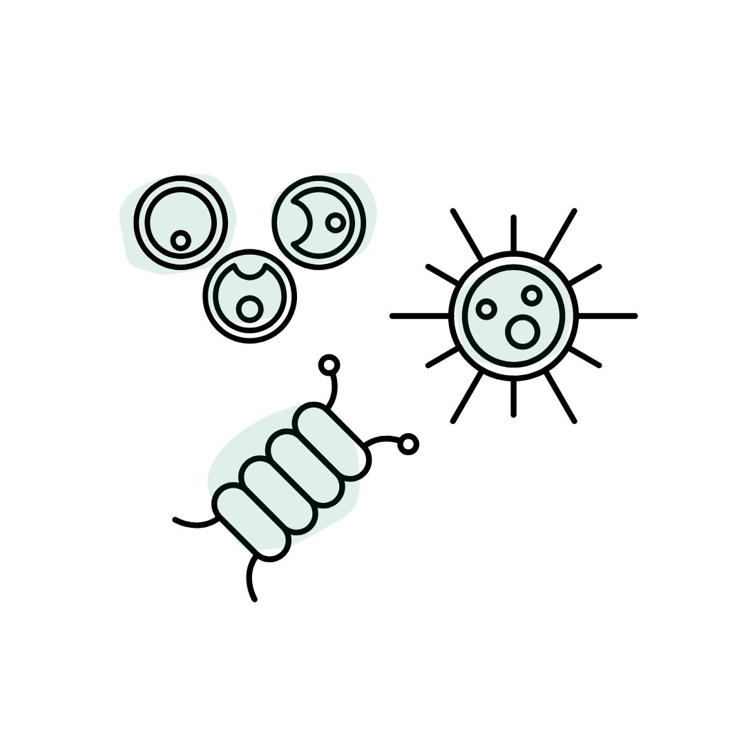 microalgaedivers