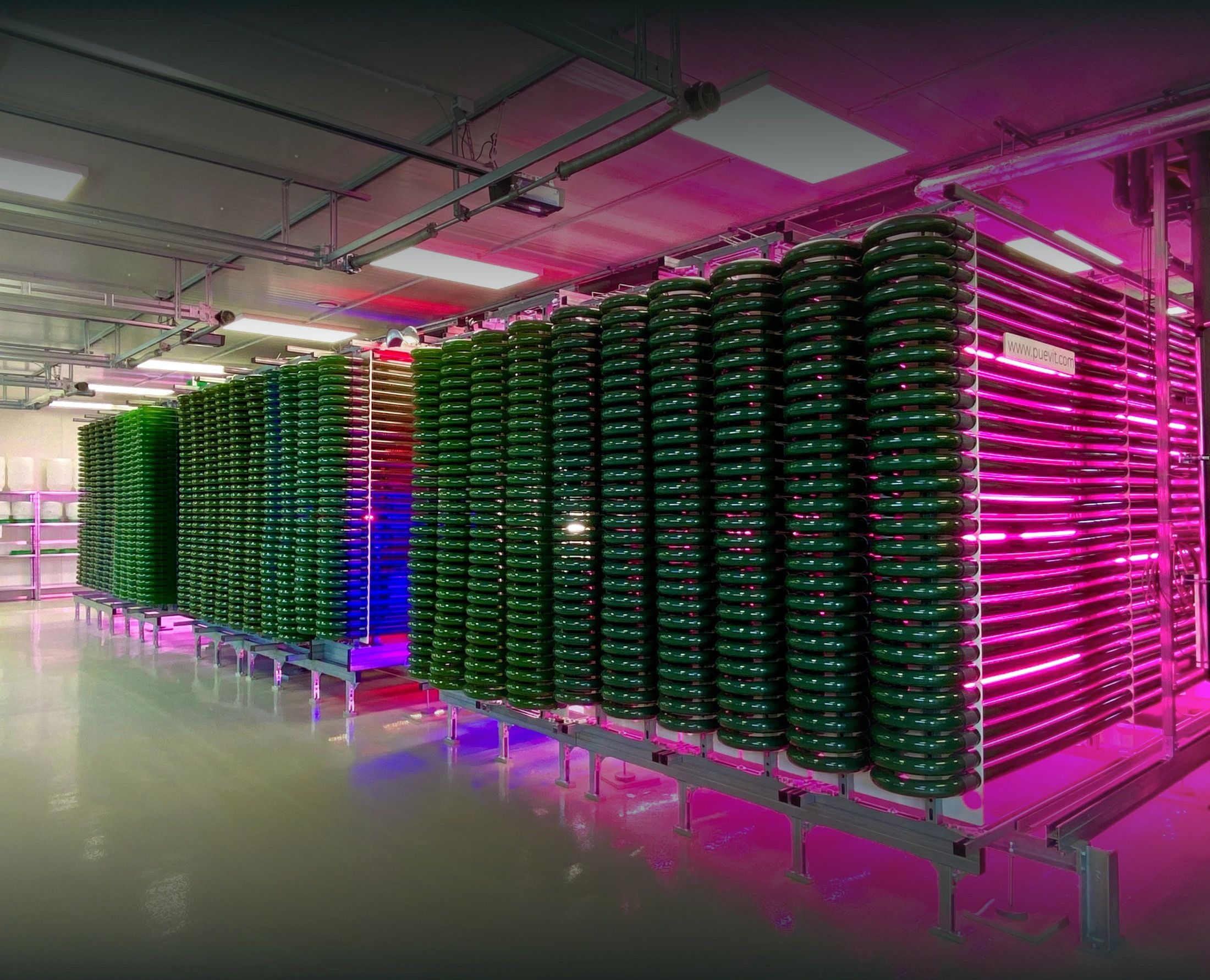 PACT-Photobioreaktoren im Hub ALGENWERK Dresden im Vollbetrieb