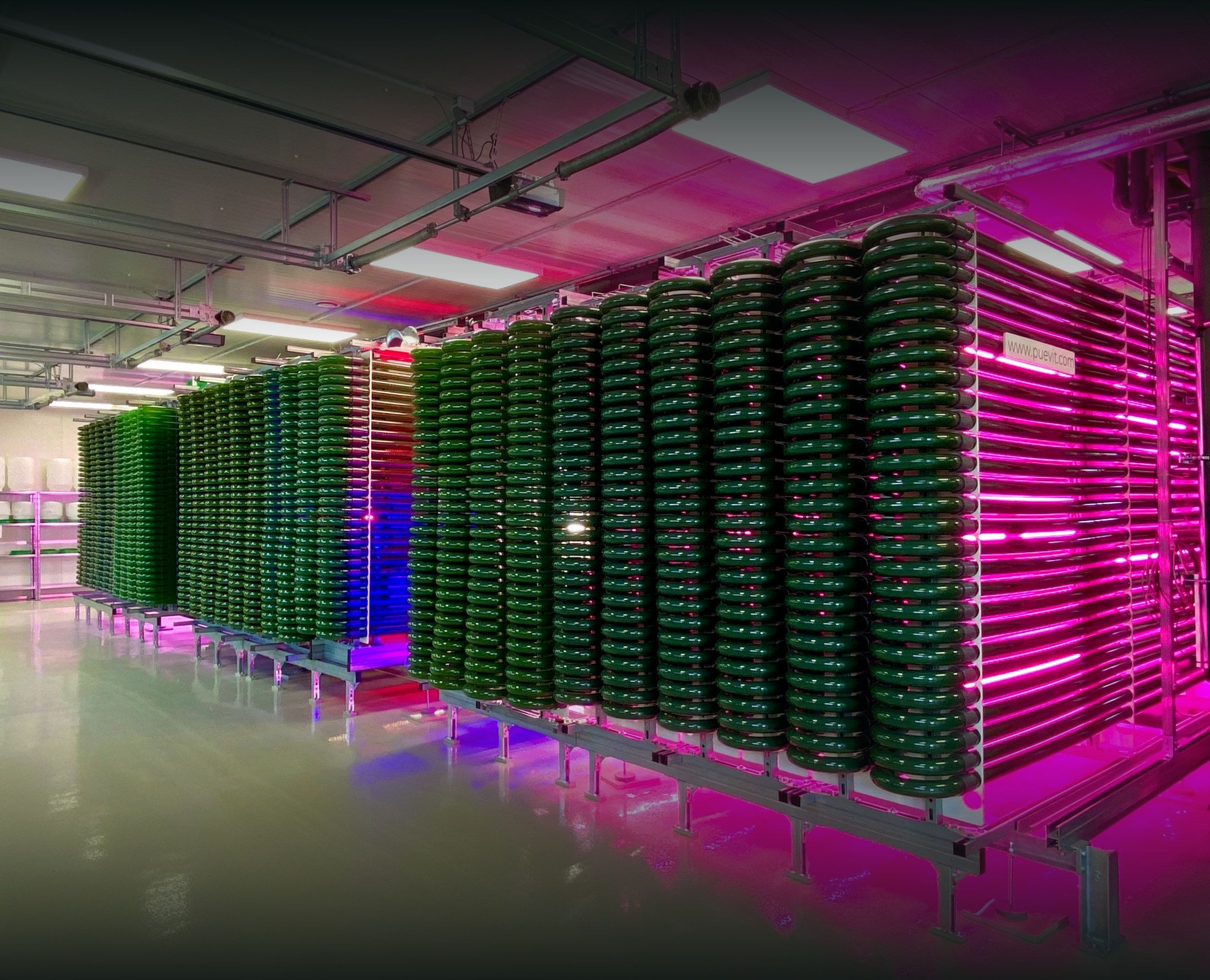PACT-Photobioreaktoren im Hub ALGENWERK Dresden im Vollbetrieb